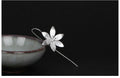 Lotus earrings earrings women Dropshipman